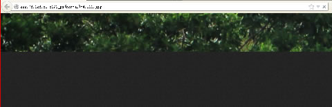 &ldquo;標準式&rdquo;圖像加載效果