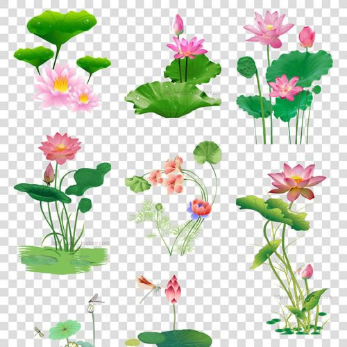 PNG——便攜式網絡圖形