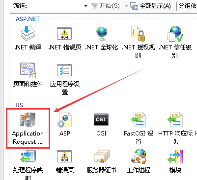 Application Request Routing（應(yīng)用程序請求路由）的圖標(biāo)